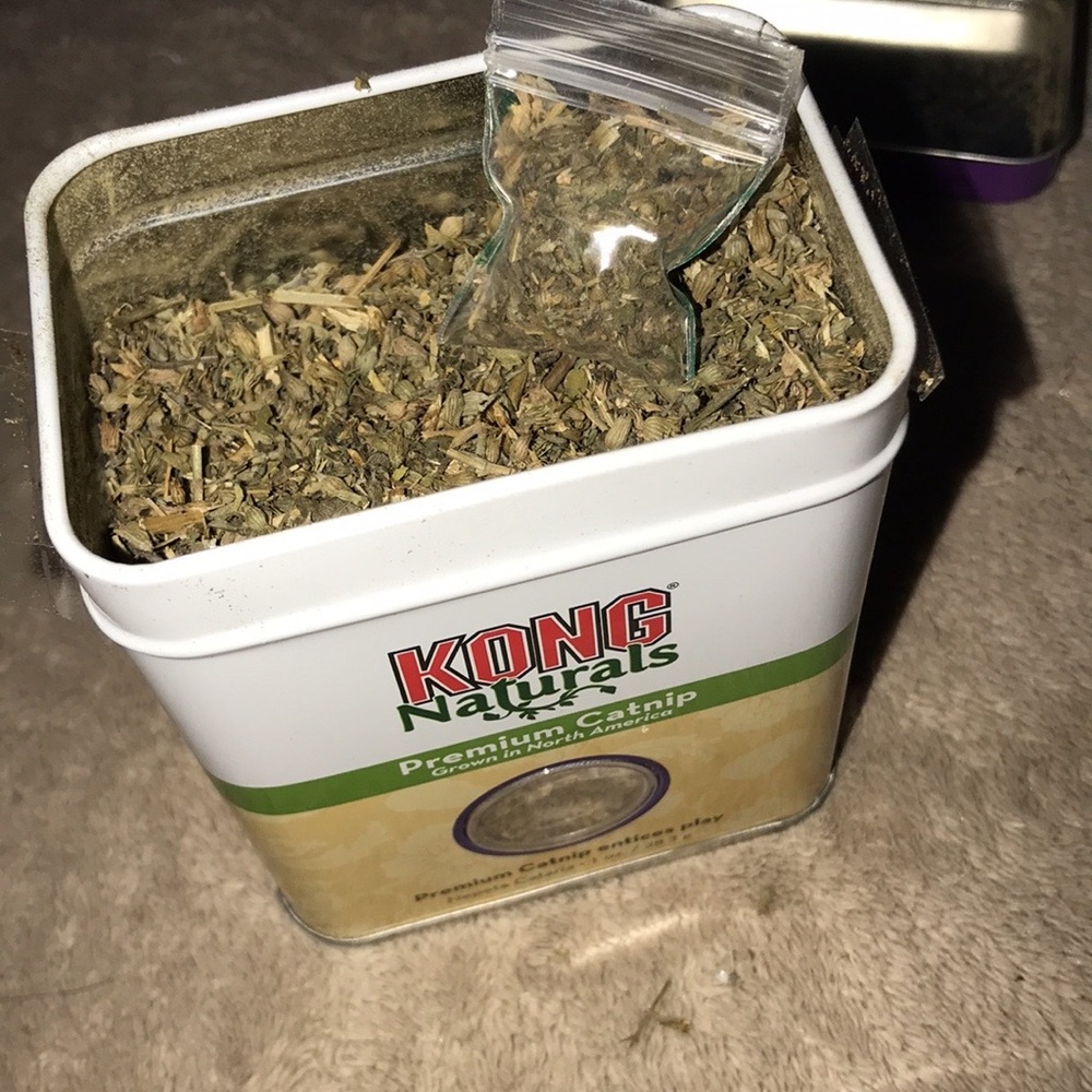 Red feather tailed rattle mouse 🐁 with catnip - Picture 5 of 5